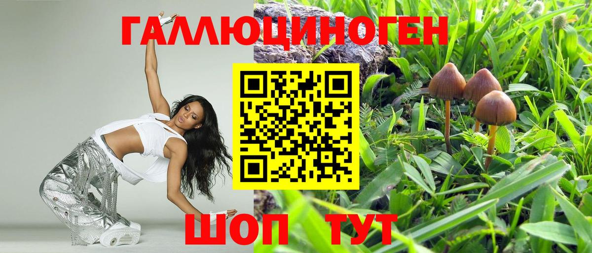 Псилоцибиновые грибы мухоморы Арсеньев