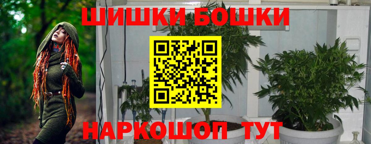 Бошки Шишки план Арсеньев